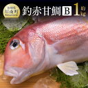 【ふるさと納税】 釣赤甘鯛 B 【 宮崎県産 日向灘 アマダイ 鮮魚 さかな 九州 宮崎 川南町 新鮮 魚介 海の幸 魚介類 たい 送料無料 D04409 】