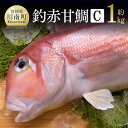 ※レビューキャンペーン※釣赤甘鯛 C 送料無料G4407