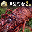 【ふるさと納税】担当者厳選!伊勢海老2.0kg(2〜8尾) - イセエビ 伊勢えび 魚介類 味噌汁 刺身 ボイル 焼き 宮崎県 川南町 送料無料 D04406