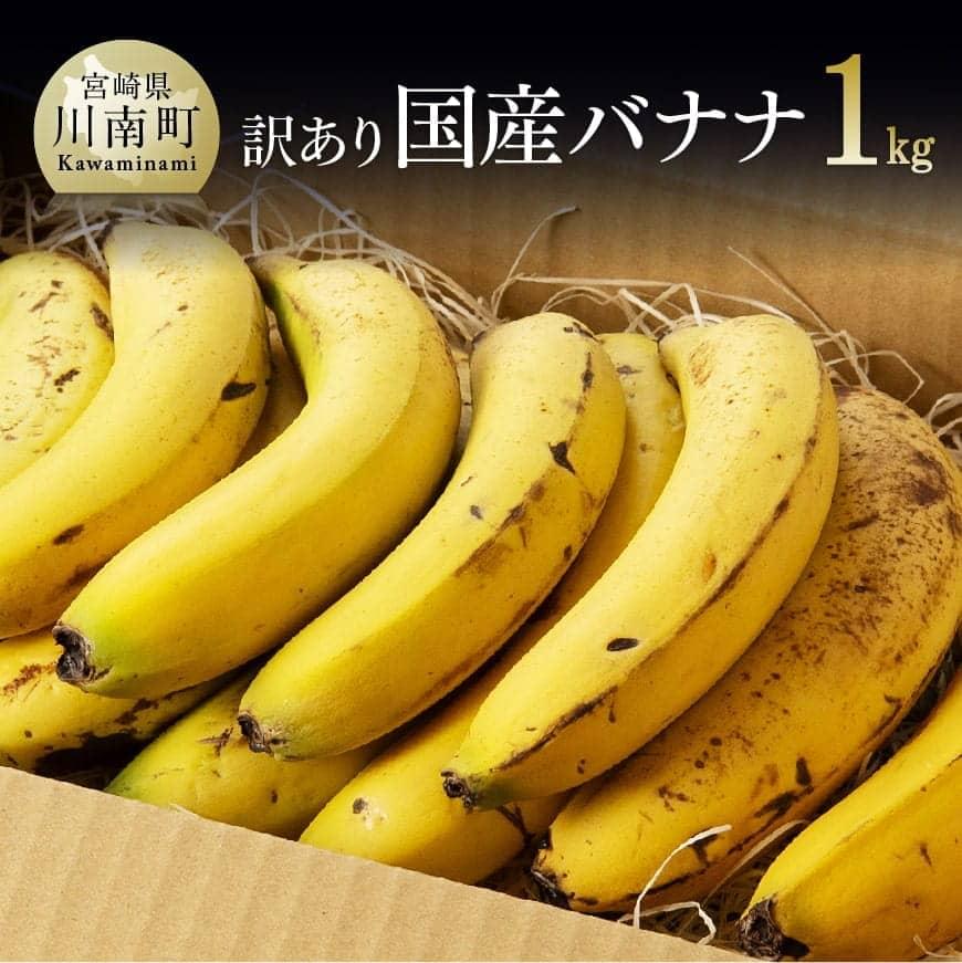 28位! 口コミ数「18件」評価「4.5」※レビューキャンペーン※ 【訳あり】国産バナナ1kg　ご自宅用や皮ごとスムージーにもオススメ！