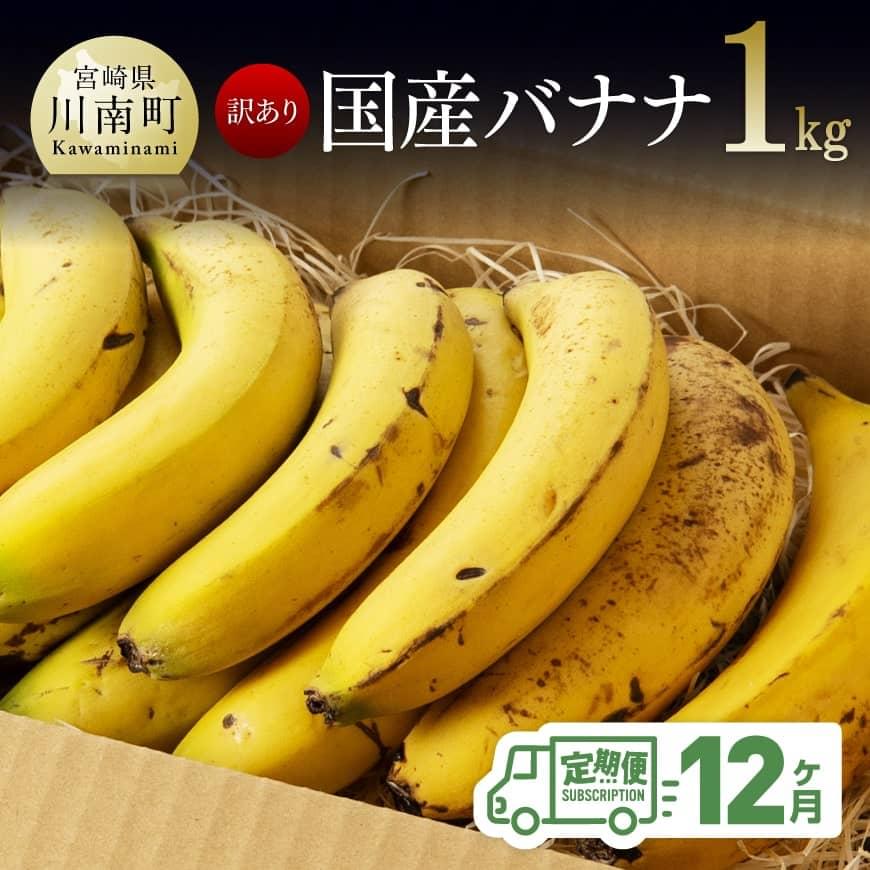 14位! 口コミ数「0件」評価「0」※レビューキャンペーン※ 【訳あり】国産バナナ1kg 【12ヶ月定期便】 【 国産 バナナ 無農薬 フルーツ 果物 デザート 朝食 スムージ･･･ 