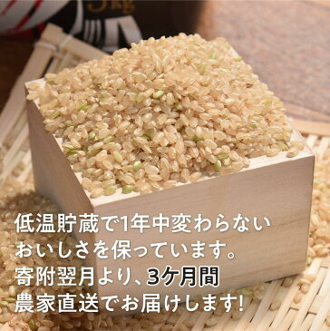 【ふるさと納税】農家直送!玄米(こしひかり) 3ヶ月 定期便