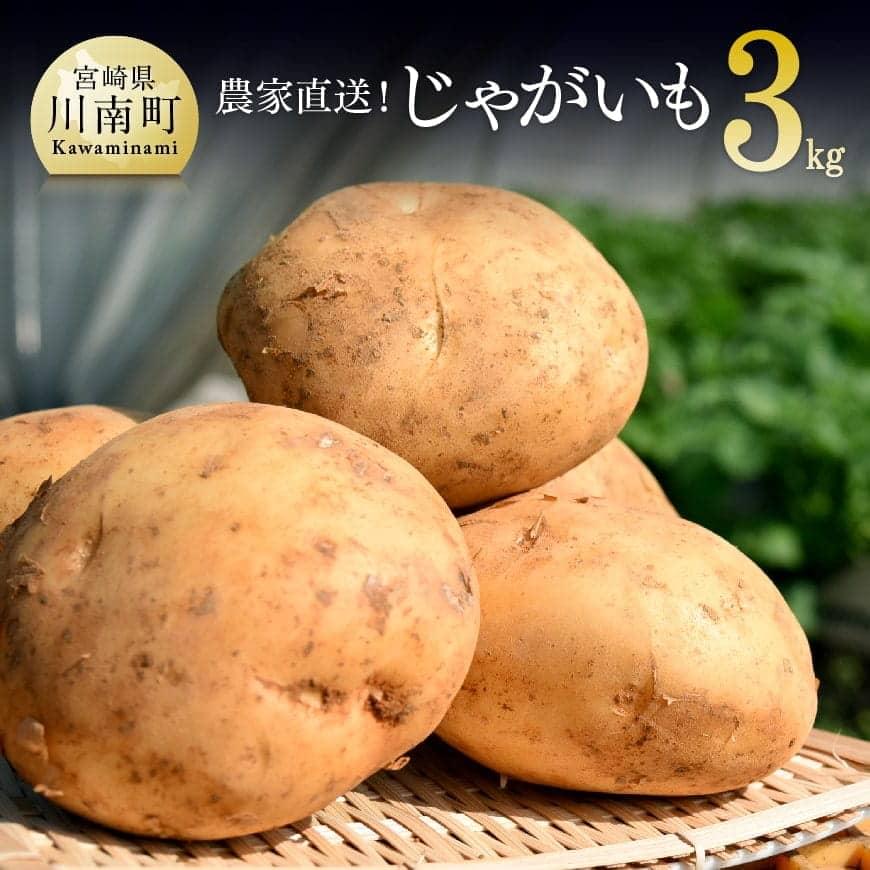 ※令和6年産※[期間限定]農家直送!新じゃがいも 3kg(15〜20個)※4月下旬より発送開始※[受付は令和6年5月5日まで] - 川南町産 春野菜 じゃがいも ポテト 春じゃが 肉じゃが カレー 送料無料