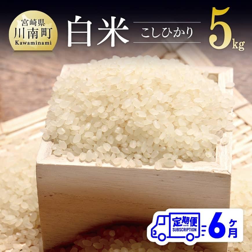 【ふるさと納税】☆ 早場米 ☆ 令和4年産 こしひかり 定期便 (5kg ×6ヶ月)...