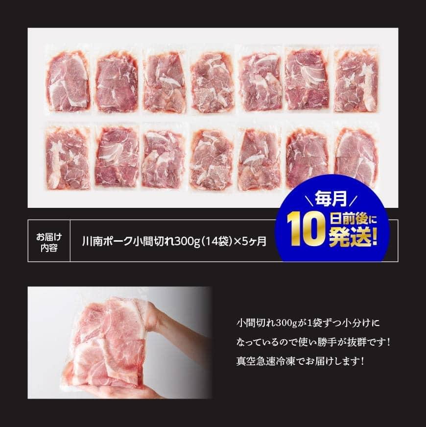 【ふるさと納税】 【5ヶ月定期便】宮崎県産豚肉　川南ポーク小間切れ4.2kg(300g×14パック) - 田畑さんちの豚肉(川南ポーク) 小間切れ 5ヶ月 定期便 ※毎月10日前後に発送※ 宮崎県産(川南町産) 豚肉 肉 真空急速冷凍 送料無料 B05003t5 f454052-kawaminami-10000755 宮崎県川南町 サンプル画像3