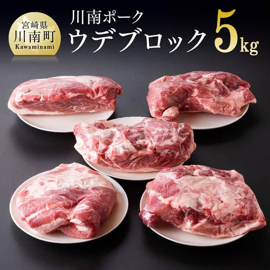 ※レビューキャンペーン※ 川南ポーク ウデブロック5Kg 宮崎県産 九州産 川南町産 豚肉 ぶた肉 おうちごはん 送料無料 E5011