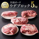 【ふるさと納税】川南ポーク ウデブロック5Kg 宮崎県産 九州産 川南町産 豚肉 ぶた肉 おうちごはん 送料無料 E5011