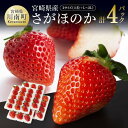 22位! 口コミ数「1件」評価「5」宮崎県産 いちご さがほのか セット ※令和6年発送※ （サイズ：L～2L） 15～18粒入×2パック 大粒さがほのか9～12粒×2パック ･･･ 