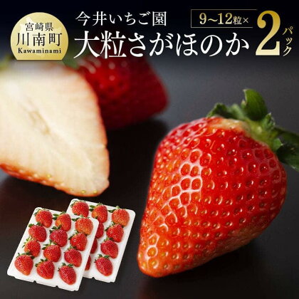 宮崎県産 いちご さがほのか ※令和6年発送※ 宮崎県産いちご！「大粒」さがほのか9粒～12粒入×2パック！人気のイチゴ ジューシー 完熟収穫 高糖度 お取り寄せ ゆりカーゴ 九州産 宮崎産 川南町産 送料無料 川南 E4603