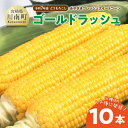 【ふるさと納税】みやざきフレッシュスイートコーン 「ゴールドラッシュ」10本 - トウモロコシ 新鮮 朝どれ 農家直送 産地直送 JA 真空予冷 期間限定 先行...