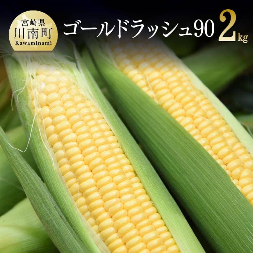 22位! 口コミ数「0件」評価「0」※レビューキャンペーン※【令和6年発送】政岡さんちの『ゴールドラッシュ90』2kg とうもろこし スイートコーン 先行予約 数量限定 期間限･･･ 