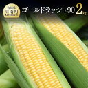 【ふるさと納税】 【令和7年発送】政岡さんちのスイートコーン『ゴールドラッシュ90』2kg - 先行予約 数量限定 期間限定 2025年発送 とうもろこし スイ...