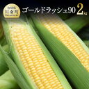 24位! 口コミ数「0件」評価「0」※レビューキャンペーン※【令和6年発送】政岡さんちの『ゴールドラッシュ90』2kg とうもろこし スイートコーン 先行予約 数量限定 期間限･･･ 