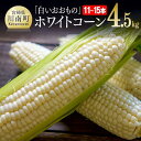 【ふるさと納税】【令和6年発送】政岡さんちのホワイトコーン 「白いおおもの」4.5kg商品説明 川南町の雄大な大地で育ったホワイトコーン「白いおおもの」。 「白いおおもの」は、真っ白な純白の粒で、甘みが強く、果汁はミルクのように白くまろやかな風味が特長です。 【令和6(2024)年6月中旬頃より順次発送】宮崎県産 九州産 とうもろこし トウモロコシ スイートコーン スィートコーン 2024年発送 先行予約 先行受付 野菜 とうきび E6505 内容量白いおおもの4.5kg ※目安：11〜15本 消費期限冷蔵5日間 保存方法要冷蔵配送方法クール便（冷蔵） 販売者政岡　義久〒889-1301宮崎県児湯郡川南町川南22474-5　寄付金の用途について 川南町では、皆様からいただいたふるさと納税寄附金を下記の事業を推進する資金として活用してまいります。寄付を希望される皆さまの想いでお選びください。 (1) 町におまかせ (2) 子育て・教育への事業 (3) 地域振興のための事業 (4) 環境保全への事業 (5) 福祉への事業 特にご希望がなければ、町政全般に活用いたします。 【注文内容確認画面の「注文者情報」を寄附者の住民票情報とみなします】・必ず氏名・住所が住民票情報と一致するかご確認ください。・受領書は住民票の住所に送られます。・返礼品を住民票と異なる住所に送付したい場合、注文内容確認画面の「送付先」に返礼品の送付先をご入力ください。※「注文者情報」は楽天会員登録情報が表示されますが、正確に反映されているかご自身でご確認ください。 通常販売について こちらの商品は、宮崎県川南町厳選特産品を取り扱っているECサイト『ぷらっつこんね かわみなみ』でも販売しております！リピート購入をご検討されている方は是非こちらをご利用ください。 『ぷらっつこんね かわみなみ』商品ページはこちら↓https://item.rakuten.co.jp/kawaminami/moy005/