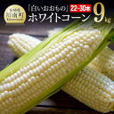 【ふるさと納税】 【令和7年発送】政岡さんちのスイートコーン「白いおおもの(ホワイトコーン)」9kg - 先行予約 数量限定 期間限定 2025年発送 とうもろ...