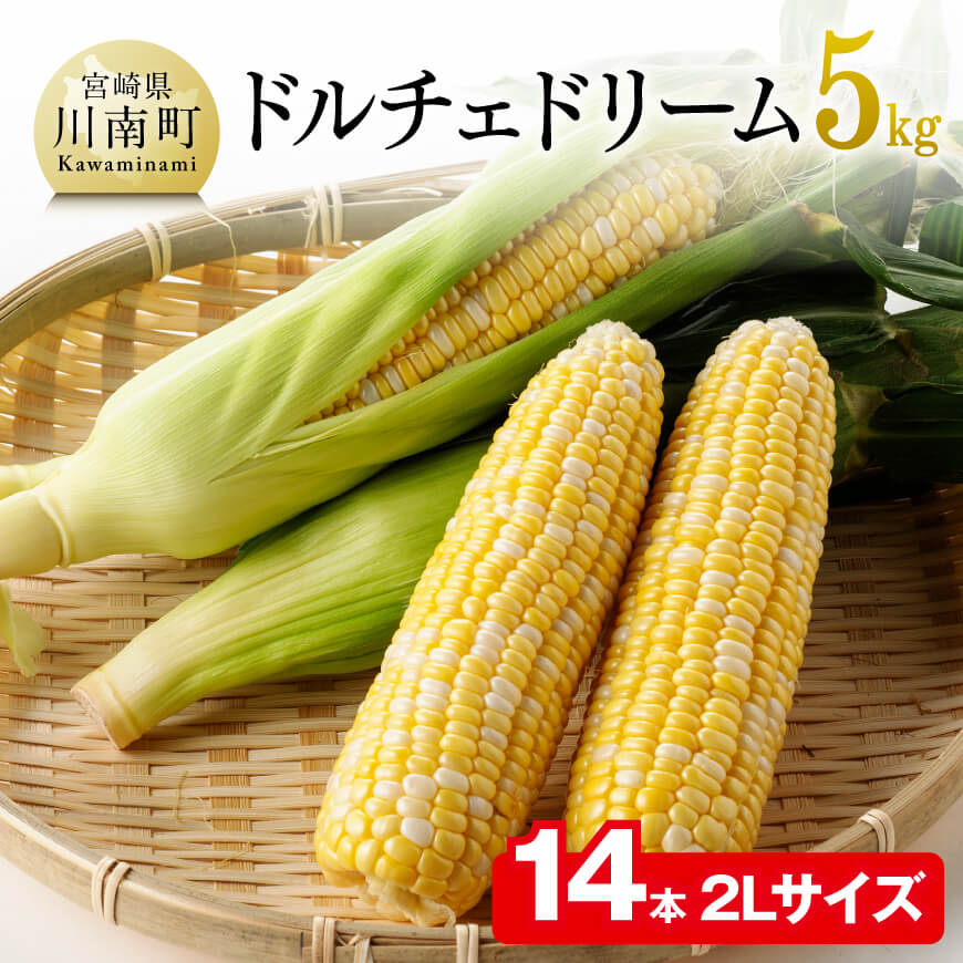 15位! 口コミ数「1件」評価「5」※レビューキャンペーン※ 2024年発送 朝どれ！守部さんちの ドルチェドリーム 2Lサイズ (5kg) 先行予約 数量限定 期間限定 スイ･･･ 