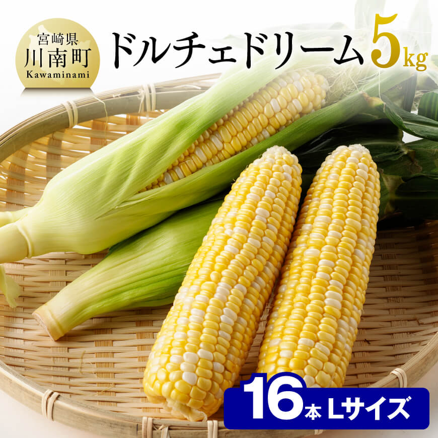 49位! 口コミ数「2件」評価「3.5」※レビューキャンペーン※ 2024年発送 朝どれ！守部さんちの ドルチェドリーム Lサイズ (5kg) 先行予約 数量限定 期間限定 スイー･･･ 