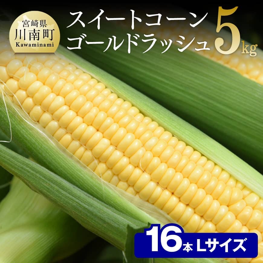 【ふるさと納税】【令和7年発送】朝どれ!守部さんちのゴールドラッシュ (L)5kg) - 先行予約 数量限定 宮崎県産(川南町産) とうもろこし 送料無料 期間限定 朝どれ D06407