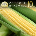 【ふるさと納税】 【令和7年発送】朝どれ!守部さんちのゴールドラッシュ10kg - 先行予約 数量限定 宮崎県産(川南町産) とうもろこし 送料無料 期間限定 ...