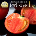 宮崎県産とまと とこうさんのトマト1kg(9～18個) - とまと トマト 宮崎県産 川南町産 農家直送 E6601 送料無料