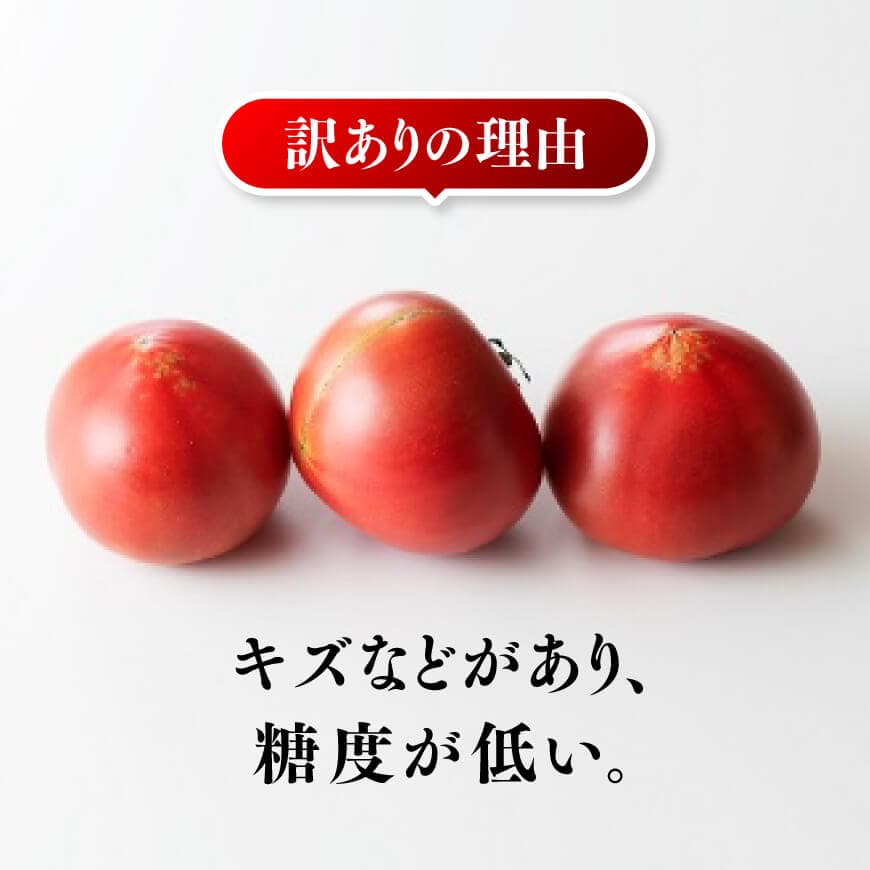 【ふるさと納税】【訳あり】宮崎県産とまと 川南町産トマト1kg（9～18個） - とまと トマト 宮崎県産 川南町産 農家直送 送料無料 E6602