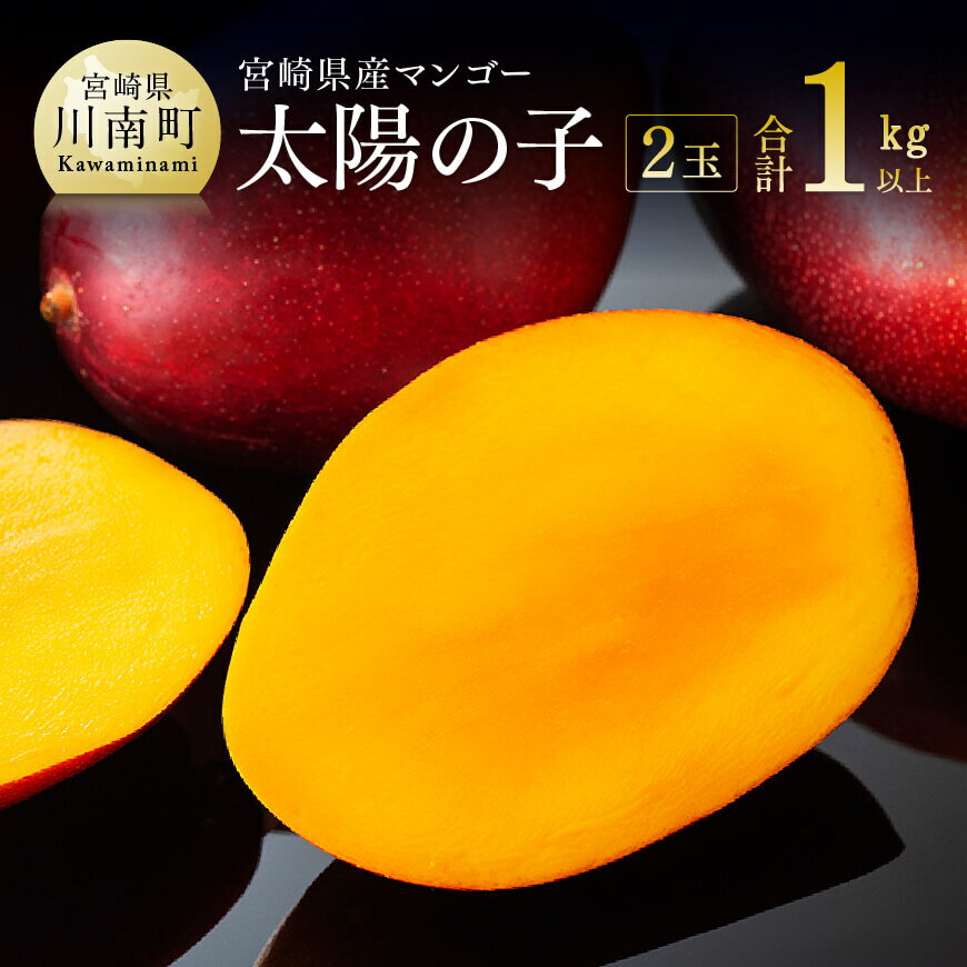 【ふるさと納税】【令和8年発送】宮崎マンゴー 太陽の子2玉(1kg以上) - 果物 くだもの フルーツ 宮崎マンゴー 送料無料 C06701