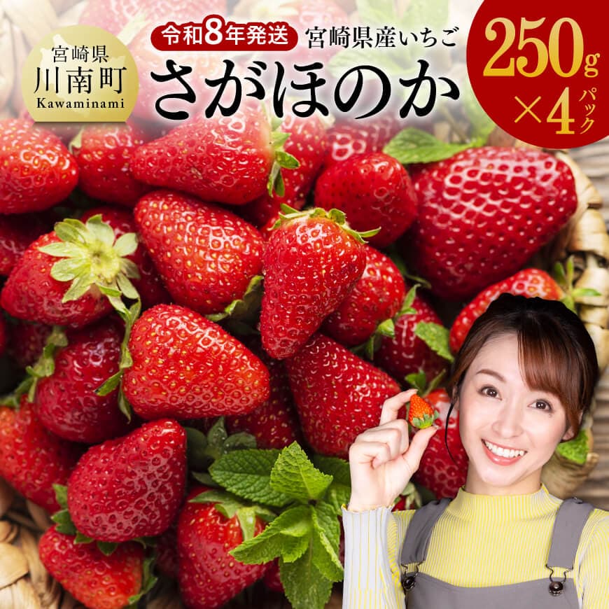 【ふるさと納税】【令和8年発送】　宮崎県産いちご　「さがほのか」250g×4パック - 苺 イチゴ さがほのか 果物 くだもの フルーツ 先行予約 数量限定 宮崎県 川南町 送料無料 C03802