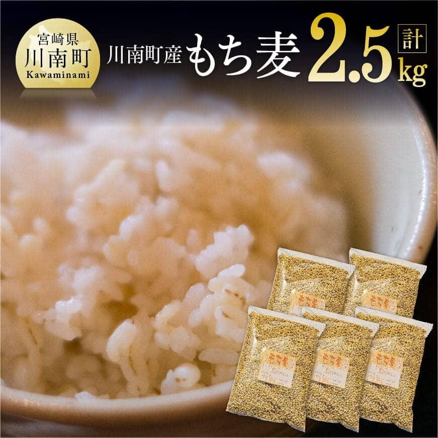 【ふるさと納税】 レビューキャンペーン 令和5年産 もち麦 2.5kg 500g 5袋 【国産 麦 もち麦 食物繊維】《数量限定》 宮崎県産 川南町産 もち麦 送料無料＼食物繊維が豊富／ E5401