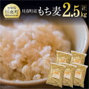 【ふるさと納税】令和5年産 もち麦 2.5kg（500g×5袋）【国産 麦 もち麦 食物繊維】《数量限定》 宮崎県産 川南町産 もち麦 送料無料＼食物繊維が豊富／ E5401 その1