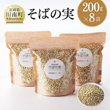 宮崎県産 そばの実 計1.6kg 200g×8袋 【 国産 九州産 川南町産 ソバ 蕎麦 ソバノミ 産地直送 農家直送 送料無料 D05401 】