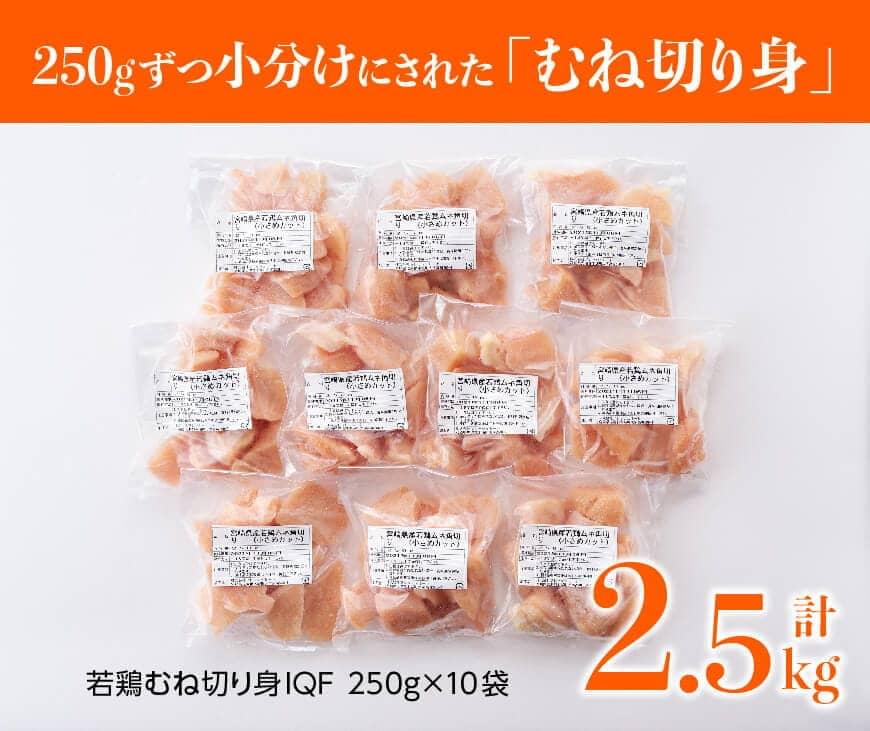 【ふるさと納税】※レビューキャンペーン※ 【3ヶ月定期便】 宮崎県産 若鶏 むね切身 2.5kg (250g×10袋) - 定期便 鶏肉 肉 国産 九州産 カット済み 小分け IQF ムネ肉 むね 冷凍 おうち時間 おうちごはん 宮崎県 川南町 送料無料 F0716t3