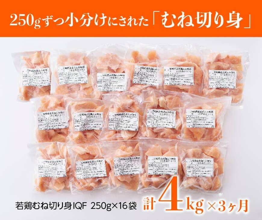 【ふるさと納税】 〈3ヶ月定期便〉九州産 宮崎県産 若鶏むね切身 4.0kg 小分けで便利！ 鶏肉 ムネ 肉 小分け 定期便 送料無料 冷凍 おうち時間 おうちごはん 川南町 F0717t3