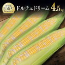 13位! 口コミ数「2件」評価「4.5」※レビューキャンペーン※【令和6年発送】 宮崎県産とうもろこし 大山さんちのスイートコーン(ドルチェドリーム)4.5kg - 先行予約 数量･･･ 