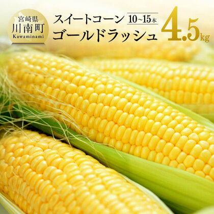 【令和6年発送】 宮崎県産とうもろこし 大山さんちの スイートコーン ゴールドラッシュ 4.5kg - 先行予約 数量限定 期間限定 季節限定 送料無料 とうもろこし 2024年発送 大山農園 九州産 宮崎県産 川南町産 4.5kg E7104