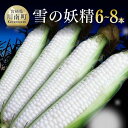   宮崎県産とうもろこし 大山さんちの ホワイトコーン (雪の妖精) 6～8本 - 「大山農園」 スイートコーン ホワイトコーン 6～8本 先行予約 数量限定 期間限定 とうもろこし 九州産 宮崎県産 川南町産 送料無料 E7105