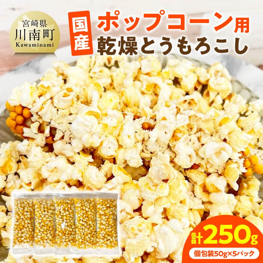 国産ポップコーン用(乾燥とうもろこし) 250g(個包装50g×5パック) - 数量限定 期間限定 宮崎県産 とうもろこし トウモロコシ ポップコーン 送料無料 宮崎県 川南町