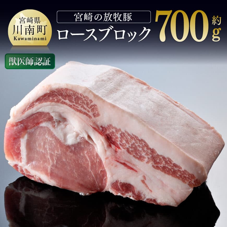 【ふるさと納税】 レビューキャンペーン 豚肉 宮崎の山奥で育てられた宮崎の放牧豚 ロースブロック 九州産 宮崎県産 お取り寄せ 肉 送料無料 G8101