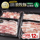 【ふるさと納税】 【12ヶ月定期便】宮崎県川南町産豚肉 放牧豚定期便A(放牧黒豚入り)- 豚 肉 豚肉 黒豚 国産 九州産 宮崎県産 川南町 加工品 セット 送...