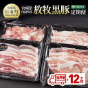 【ふるさと納税】 【12ヶ月定期便】宮崎県川南町産 放牧黒豚定期便 - 豚 肉 豚肉 黒豚 国産 九州産 宮崎県産 川南町 加工品 セット 送料無料 C0810...