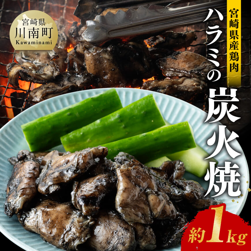 【ふるさと納税】※レビューキャンペーン※宮崎県産鶏肉 ハラミ