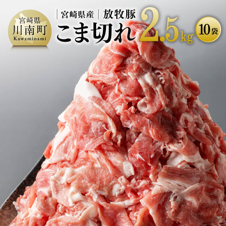 【ふるさと納税】 レビューキャンペーン 宮崎県産放牧豚 こま切れ10袋 計2.5kg - 豚肉 九州産 宮崎県産 国産 豚 肉 ポーク お取り寄せ 送料無料 E8101