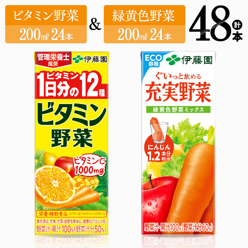 ※レビューキャンペーン※ 伊藤園　ビタミン野菜24本+緑黄色野菜24本（紙パック） - 伊藤園 飲料類 野菜 緑黄色野菜 ビタミン野菜 ジュース セット 詰め合わせ 飲みもの D07309