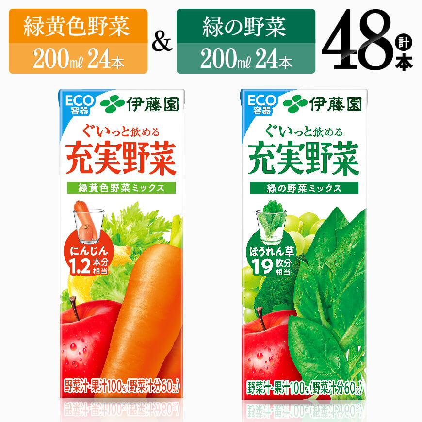 【ふるさと納税】 伊藤園　緑黄色野菜＆緑の野菜（紙パック）48本 【伊藤園 飲料類 野菜 ミックス 緑の野菜 ジュース セット 詰め合わせ 飲みもの】E7359