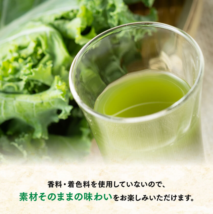 【ふるさと納税】※レビューキャンペーン※伊藤園　毎日1杯の青汁無糖（紙パック）200ml×24本 - 伊藤園 飲料類 野菜 飲料 青汁 パック 飲みやすい 野菜ジュース ジュース ソフトドリンク E7354