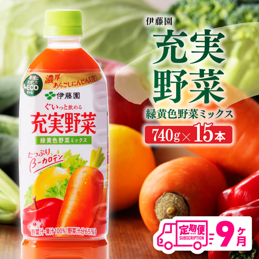 ※レビューキャンペーン※伊藤園 充実野菜 緑黄色野菜ミックス ペットボトル 740g×15本 - 飲料 ドリンク ソフトドリンク 野菜ジュース 9ヶ月定期便 果実混合飲料 にんじんピューレ 送料無料 備蓄 宮崎県 川南町 E7366t6