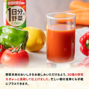 【ふるさと納税】 伊藤園 1日分の野菜（紙パック）200ml×24本 【 送料無料 紙 バック 野菜汁100％ トマト リコピン 備蓄 野菜飲料 野菜ジュース ミックスジュース 飲料類 果汁飲料 セット ジュース ソフトドリンク ケース 飲みもの E7342】