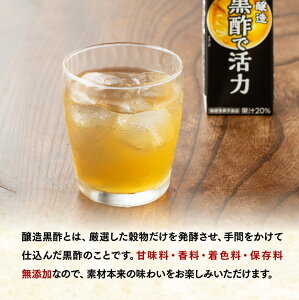 【ふるさと納税】 伊藤園 機能性表示食品黒酢で活力（紙パック）200ml×24本 - 飲料類 ソフトドリンク ドリンク 黒酢 ジュース 飲みもの 送料無料 宮崎県 川南町 E7350