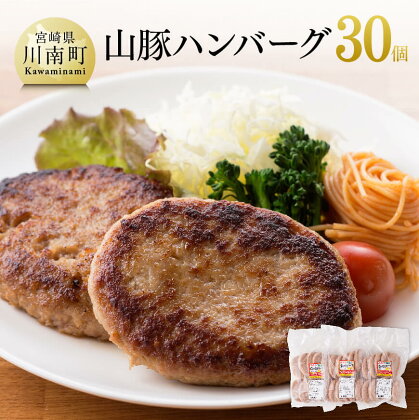 《大人気》 山豚ハンバーグ 100g×30個! 送料無料 | 肉 豚肉 加工品 惣菜 ハンバーグ 宮崎県産 ぶた肉 簡単調理 G7504