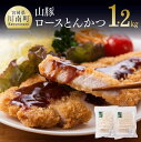 《大人気》 山豚 ロースとんかつ 120g×5枚×2袋 計10枚(1.2kg) 送料無料【肉 豚肉 ぶた肉 宮崎県産】G7505