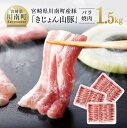 【ふるさと納税】 レビューキャンペーン 宮崎県産ブランド豚 バラ焼肉用 1.5kg《川南町産 きじょん山豚 》【豚肉 豚 肉 宮崎県産 九州産 バーベキュー BBQ イベント アウトドア おうちごはん …